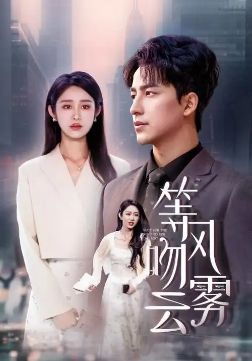 电视剧海报：对手
